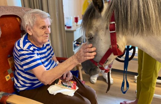 Návštěva poníka Mohykána v SeniorCentru Humpolec